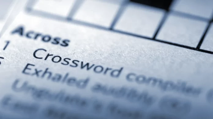 Me Time Option Crossword Clue Me Time Option Crossword Clue