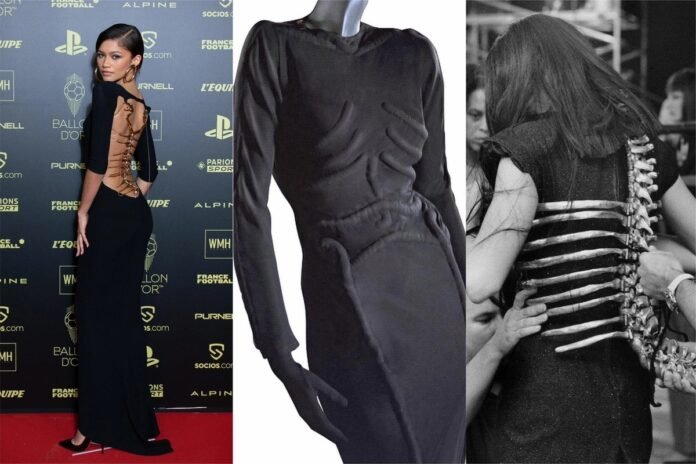 Vertabrae Fashion Vertabrae