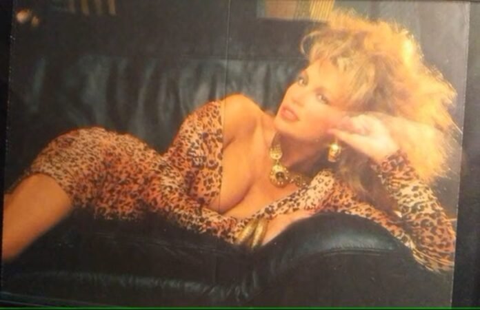 Vanna White Playboy Vanna White Playboy