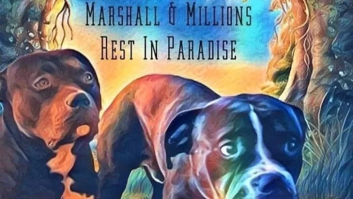 marshall and millions Marshall and Millions