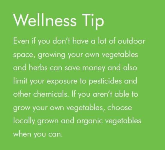 Popular Organic Health and Wellness Tips