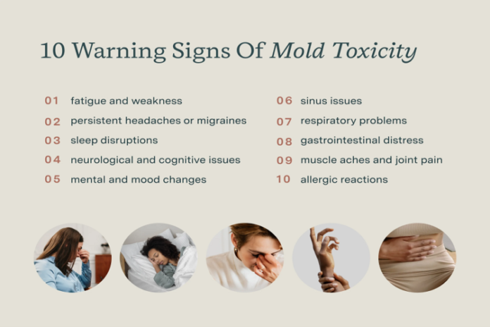 10 Warning Signs of Mold Toxicity 10 Warning Signs of Mold Toxicity